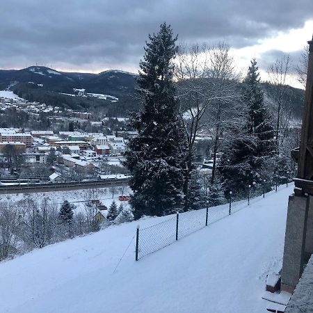 Lambach Villa Appartament 2 Mürzzuschlag Exteriör bild